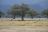 Mana Pools National Park