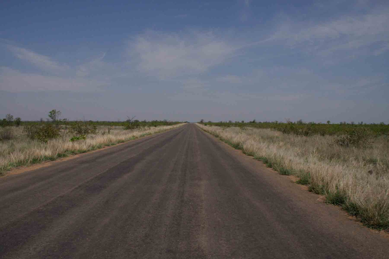 Gametracker Safari - Unterwegs im Kruger National Park