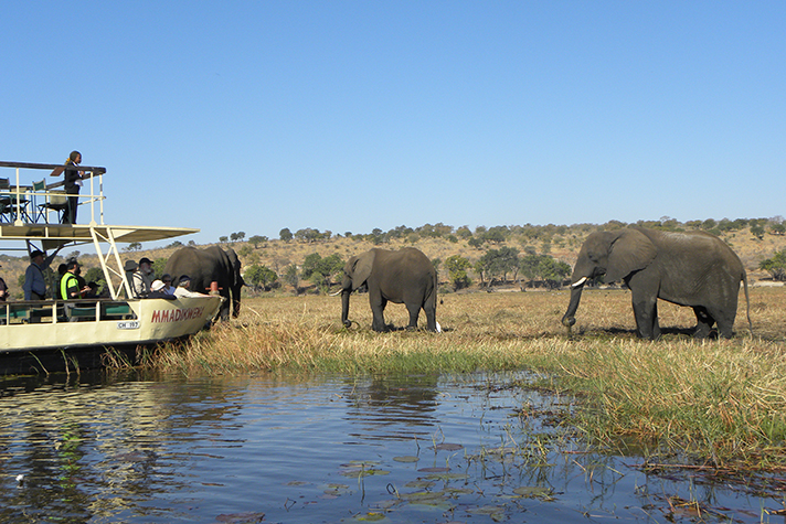 Gametracker Safari - Chobe National Park