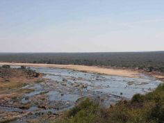 Gametracker Safari - Unterwegs im Kruger National Park