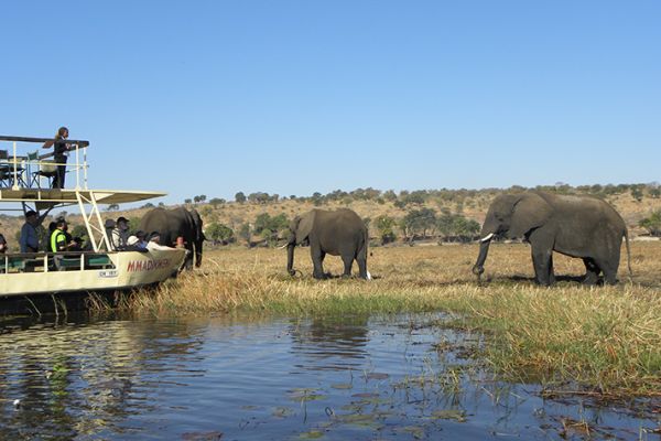 Game Tracker Safari