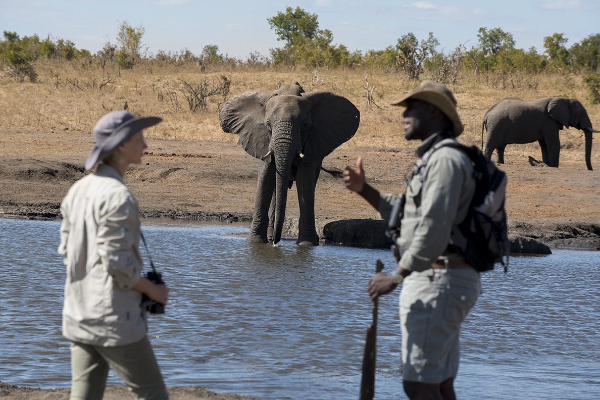 Somalisa Expeditions Camp