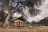 Somalisa Expeditions Camp