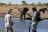 Somalisa Expeditions Camp