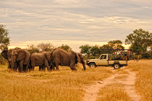 Kanga Camp, Mana Pools - Game Drive