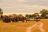 Kanga Camp, Mana Pools - Game Drive
