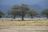 Zimbabwe Flugsafari - Mana Pools