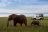 Zimbabwe Flugsafari - Matusadona Pirschfahrt