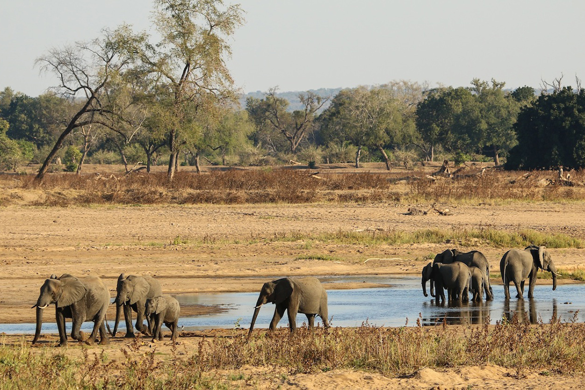 Gonarezhou National Park
