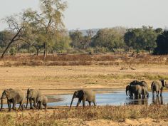 Zimbabwe - Gonarezhou National Park