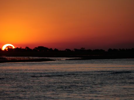 Chobe River