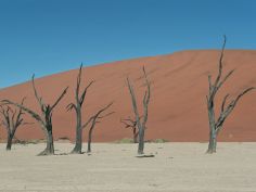 Namibia - Dead Vlei bei Sossusvlei, Namib Naukluft National Park