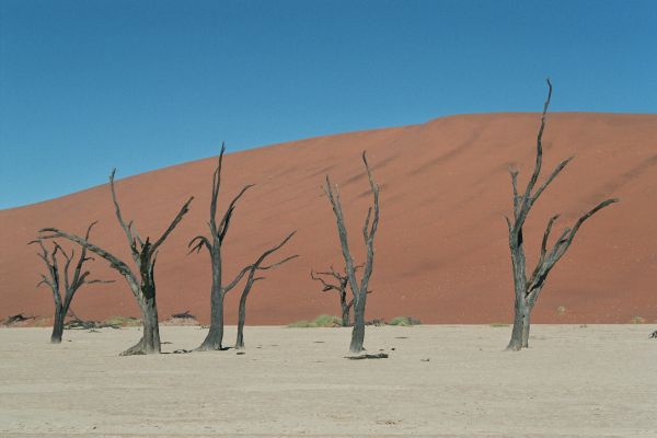 Namibias Süden im 2010