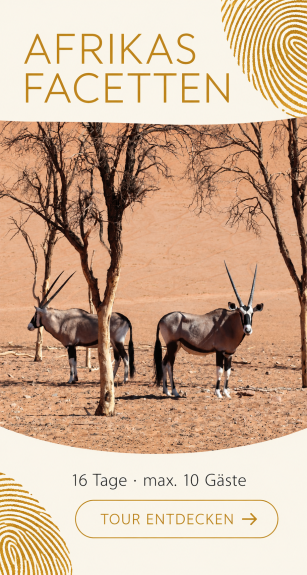 Garden Route Highlights