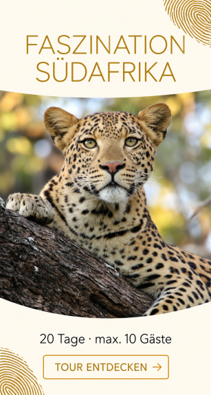 Garden Route Highlights
