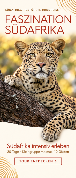 Garden Route Highlights